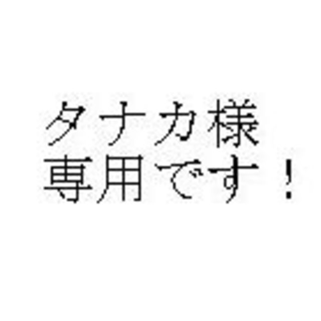 沖縄直送　さんぴん茶（ジャスミンティー）48袋入り×4　イカ墨じゅーしぃｘ2パッ 食品/飲料/酒の飲料(茶)の商品写真