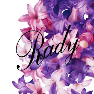 レディー(Rady)の専用ページ⚠️未使用🌸Rady🌸バイカラーフレームちびTシャツ(Tシャツ/カットソー)