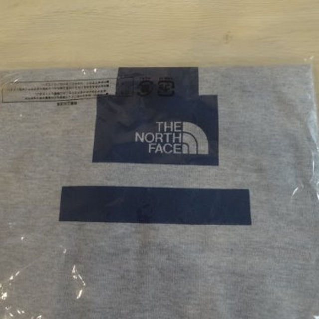 THE NORTH FACE(ザノースフェイス)の※新春値下げ！【新品未使用】ザ・ノースフェイスＢＩＧロゴＴシャツ　グレー　ＸＬ メンズのトップス(その他)の商品写真