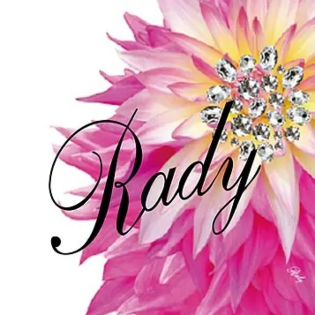 Rady(レディー)のれ様専用💕　レース　ビジューコンビネゾン レディースのパンツ(オールインワン)の商品写真