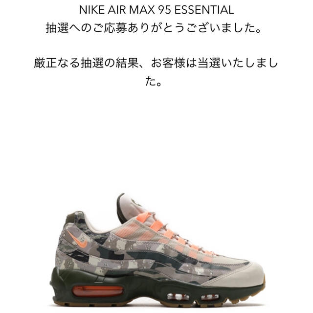 靴/シューズair max 95 essential