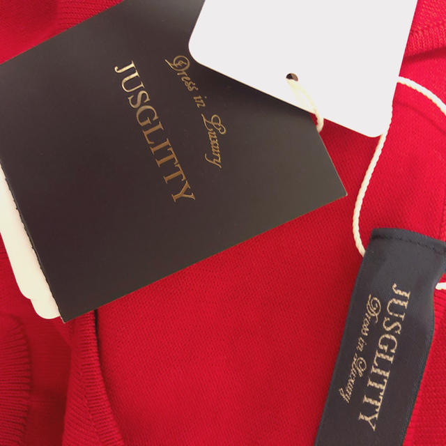 JUSGLITTY(ジャスグリッティー)のよー様専用 JUSGLITTY 袖刺繍フレアスリーブVニット 新品 レディースのトップス(カットソー(長袖/七分))の商品写真