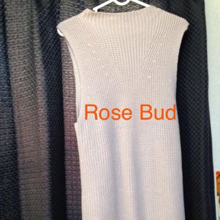 ローズバッド(ROSE BUD)のRoseBud今季✳︎ハイネックニット(ニット/セーター)