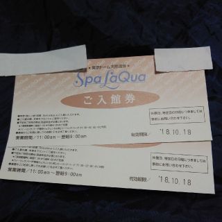 あみんぐ様専用☆スパラクーア　入館券　ペア(その他)
