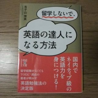 留学しないで、英語の達人になる方法(その他)