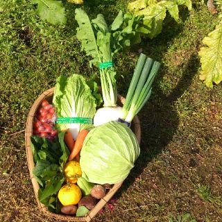 ☆わくわく80サイズ☆岡山産　新鮮野菜(野菜)