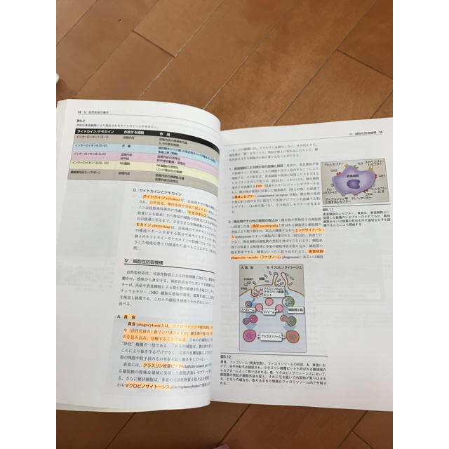免疫学 専用 エンタメ/ホビーの本(健康/医学)の商品写真