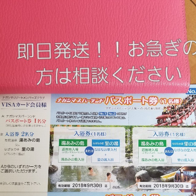 ナガシマスパーランド　パスポート1枚 チケットの施設利用券(遊園地/テーマパーク)の商品写真