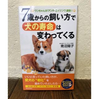 7歳からの飼い方で犬の寿命は変わってくる 青沼陽子(趣味/スポーツ/実用)