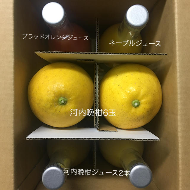 河内晩柑6玉とストレートジュース3種 食品/飲料/酒の食品(フルーツ)の商品写真