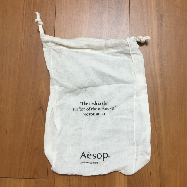 Aesop(イソップ)のイソップ ショップショップ袋大小各１枚セット レディースのバッグ(ショップ袋)の商品写真
