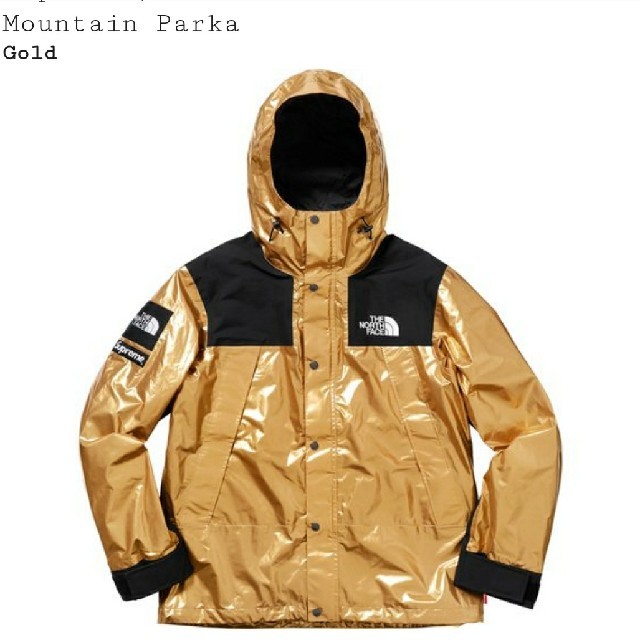 希少S Supreme TNF Metallic Mountain Jacket