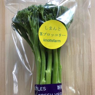 ★ Aさん専用★茎ブロッコリー★500g★無農薬★(野菜)