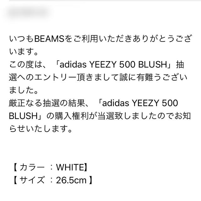 adidas(アディダス)の【26.5cm】adidas yeezy 500 blush メンズの靴/シューズ(スニーカー)の商品写真