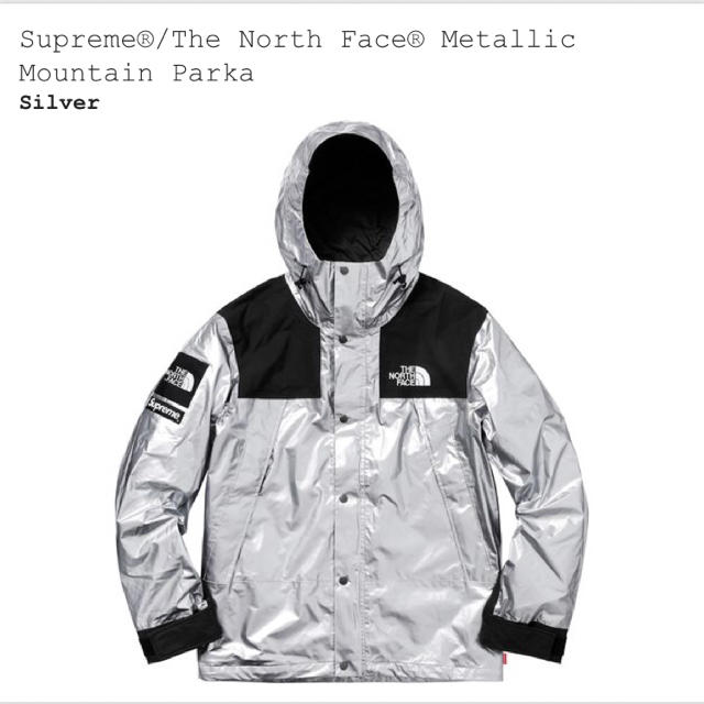 Supreme - Supreme The north face マウンテンパーカー S size
