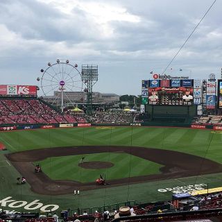 トウホクラクテンゴールデンイーグルス(東北楽天ゴールデンイーグルス)の楽天戦 チケット(野球)