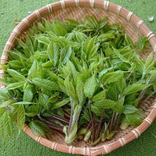 天然こしあぶら(野菜)