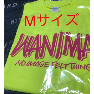 ワニマ(WANIMA)の【新品 未開封 エビバデ‼︎ツアー】WANIMA Tシャツ(ミュージシャン)