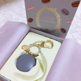 ラデュレ(LADUREE)のLADUREE チャーム(ポーチ)