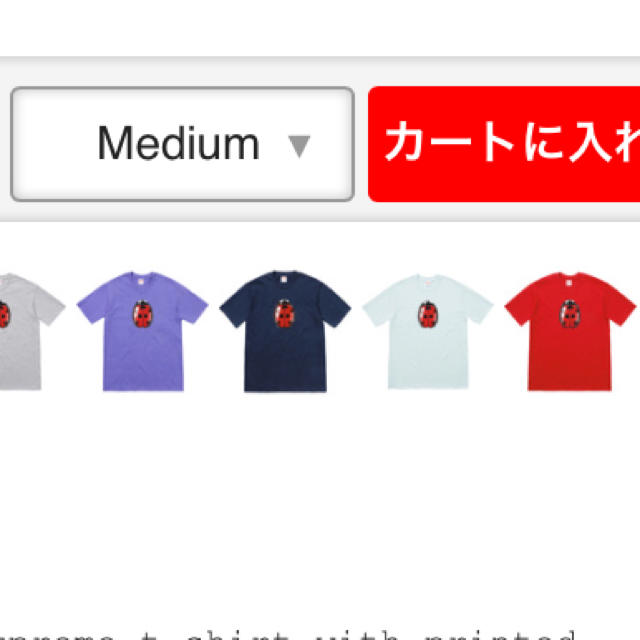 Supreme(シュプリーム)のsupreme tシャツ メンズのトップス(Tシャツ/カットソー(半袖/袖なし))の商品写真