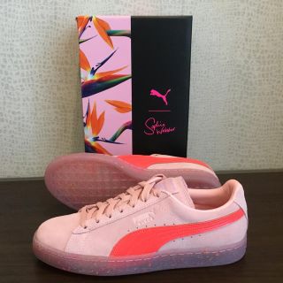 プーマ(PUMA)のプーマ×ウェブスター 24.5センチ(スニーカー)