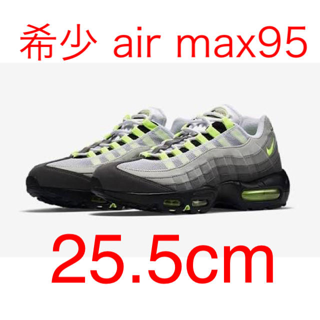 NIKE(ナイキ)のNike air max 95 メンズの靴/シューズ(スニーカー)の商品写真