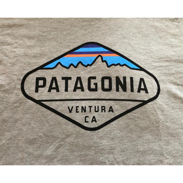 patagonia(パタゴニア)のパタゴニア レディースTシャツ レディースのトップス(Tシャツ(半袖/袖なし))の商品写真