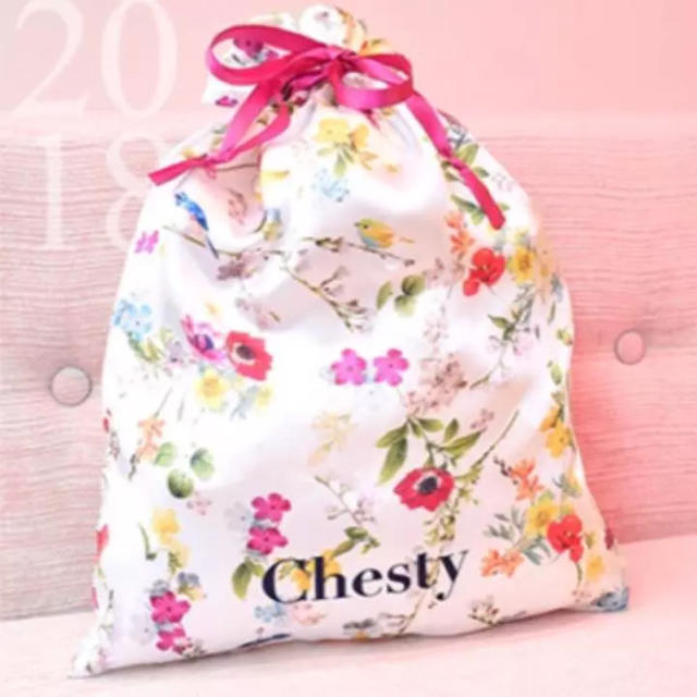 Chesty(チェスティ)の秋桜様  専用      新品 チェスティ  ノベルティ 巾着 エンタメ/ホビーのコレクション(ノベルティグッズ)の商品写真