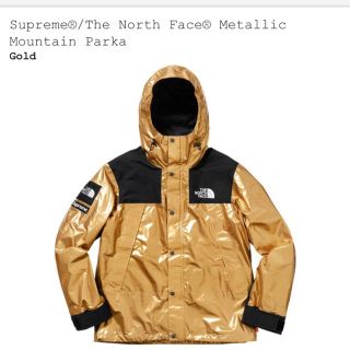 シュプリーム(Supreme)のSupreme The North Face Mountain Parka (マウンテンパーカー)