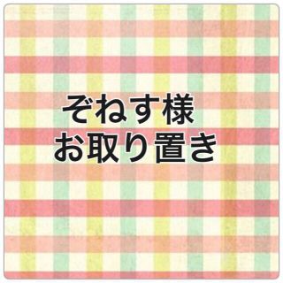 ぞねす様 専用ページ(その他)