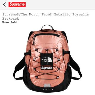 シュプリーム(Supreme)のsupreme tnf metallic back pack(バッグパック/リュック)