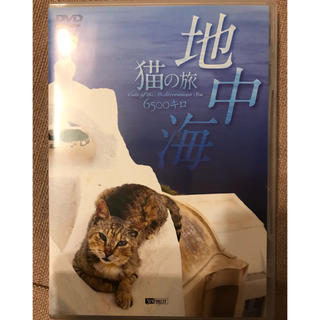 【猫DVD2枚組】シンフォレスト地中海 猫の旅(キッズ/ファミリー)