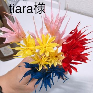 tiara様専用ページ(ドライフラワー)