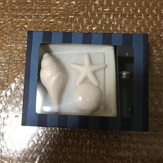 サラ様専用❤︎アロマストーン1箱🐚(アロマグッズ)