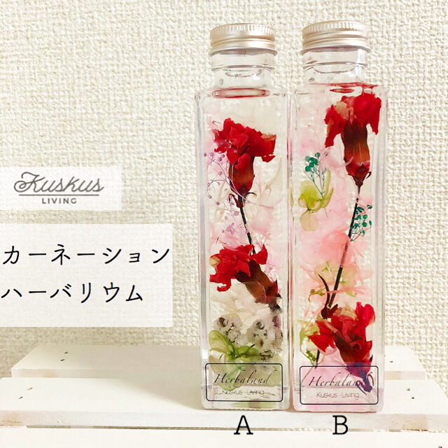 爆買いセール カーネーション ハーバリウムサンプル ドライの ...