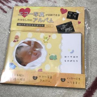 エコーアルバム★新品(アルバム)