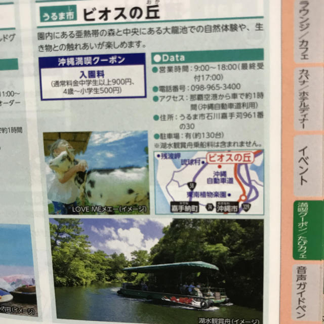 沖縄クーポン ビオスの丘 チケットの施設利用券(その他)の商品写真