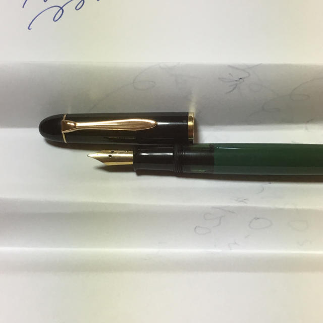 Pelikan - 【美品‼︎】ヴィンテージ万年筆 初代ペリカン 120 EF-nibの