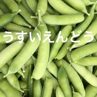 うすいえんどう900g☆農家直送☆野菜(野菜)