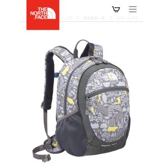 ザノースフェイス(THE NORTH FACE)のザ ノースフェイス☆スモールディ(リュックサック)