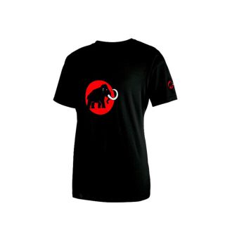 マムート(Mammut)のGW限定値下げ！ マムート  新品 Tシャツ 送料込み(登山用品)