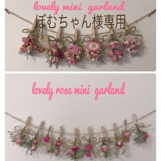 ぼむちゃん様専用   garland  2点(ドライフラワー)