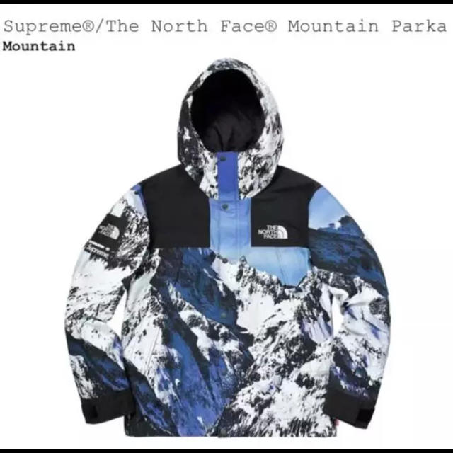 supreme the north face マウンテンパーカー 雪山