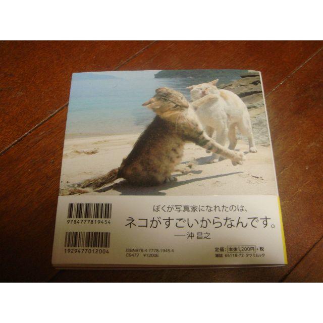 写真集「必死すぎるネコ」 エンタメ/ホビーの本(その他)の商品写真