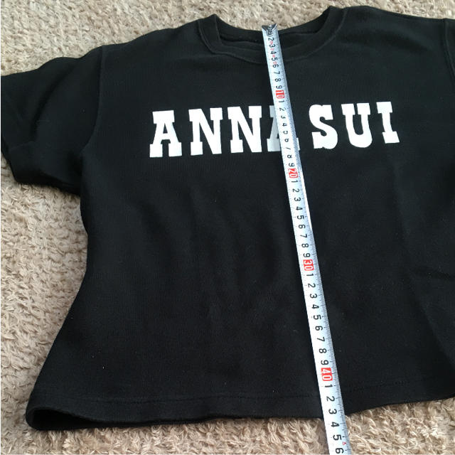 ANNA SUI(アナスイ)のアナスイ Tシャツ レディースのトップス(Tシャツ(半袖/袖なし))の商品写真