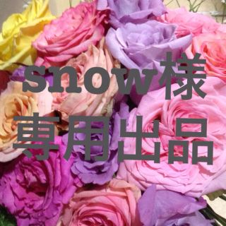 snow様専用出品(オーダーメイド)
