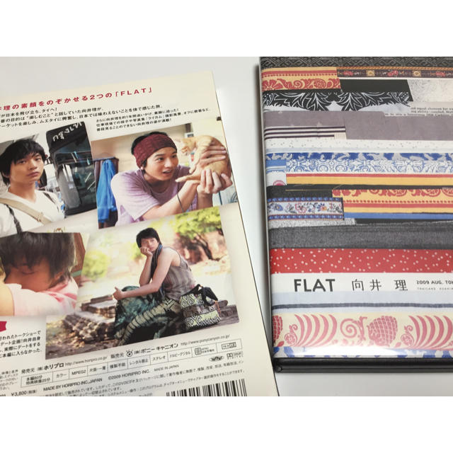 向井理 FLAT DVD