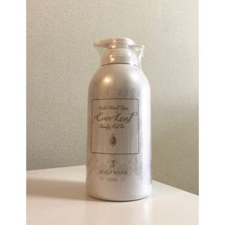 コタヘッドスパ エヴァーリーフ ヘアエステ 2 エステオイル 100g×3本