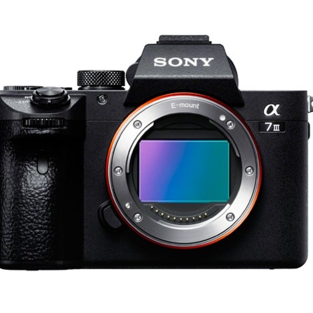 【美品】メーカー保証有 SONY FE 24-105F4 G OSS