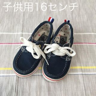 ヴァンズ(VANS)のVANS子供用シューズ16センチ(スニーカー)